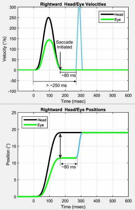 Graphiques de vitesse et de position. Dans le graphique de vitesse, les mouvements de la tête et des yeux sont représentés avec la vitesse, en degrés par seconde, en fonction du temps, en millisecondes. À 0 milliseconde, l'impulsion de la tête est initiée, avec une vitesse de pointe de la tête de 250 degrés par seconde. La vitesse de pointe de l'œil pendant l'impulsion de la tête n'est que de 150 degrés par seconde. 80 millisecondes après la fin de l'impulsion de la tête, un grand mouvement oculaire correctif est visible avec une vitesse de plus de 300 degrés par seconde. Dans le graphique de position, les mouvements de la tête et des yeux sont représentés avec la position, en degrés, en fonction du temps, en millisecondes. À 0 milliseconde, l'impulsion de la tête est initiée et la tête se déplace rapidement vers une position de 18 degrés. L'œil n'atteint que 12 degrés au début, avec un mouvement oculaire correctif de 80 millisecondes après pour atteindre 18 degrés.